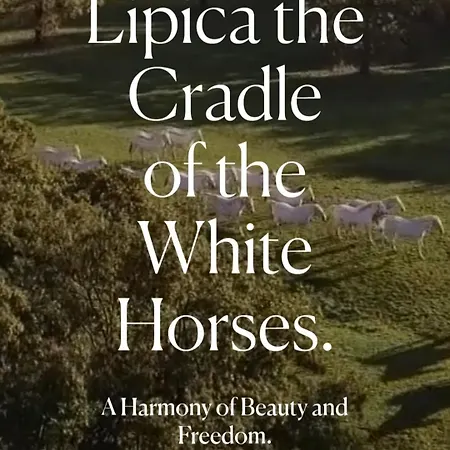 بيت للعطل Apartma Jezevi Sežana