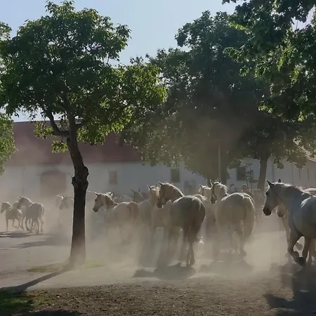 بيت للعطل Apartma Jezevi *