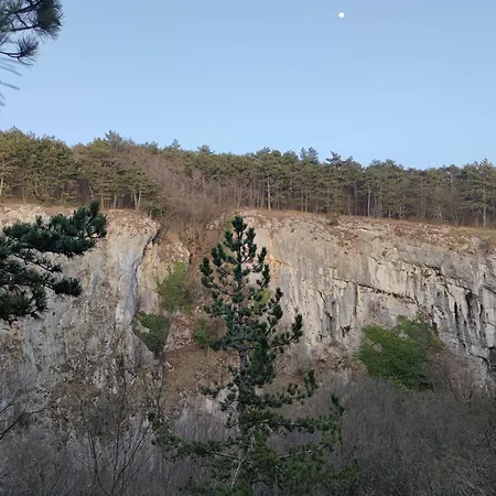 Apartma Jezevi Sezana