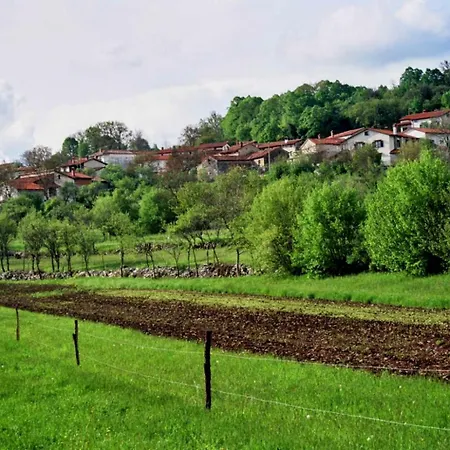 Apartma Jezevi بيت للعطل *