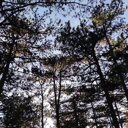 Apartma Jezevi * Sežana