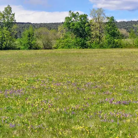 Apartma Jezevi *