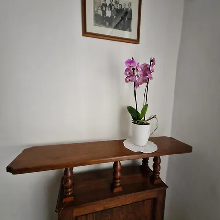 Apartma Jezevi