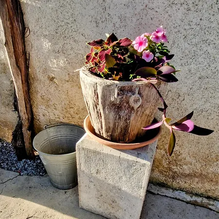 Apartma Jezevi Tatil Evi Sežana