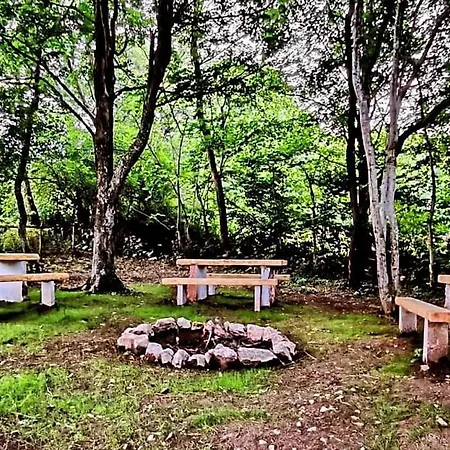 Počitniška hiša Apartma Jezevi