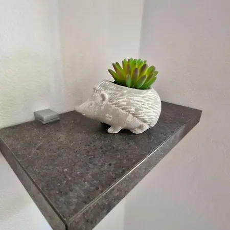 Apartma Jezevi Casa vacanze *