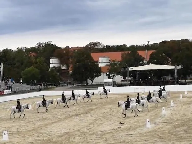 Σπίτι διακοπών Apartma Jezevi