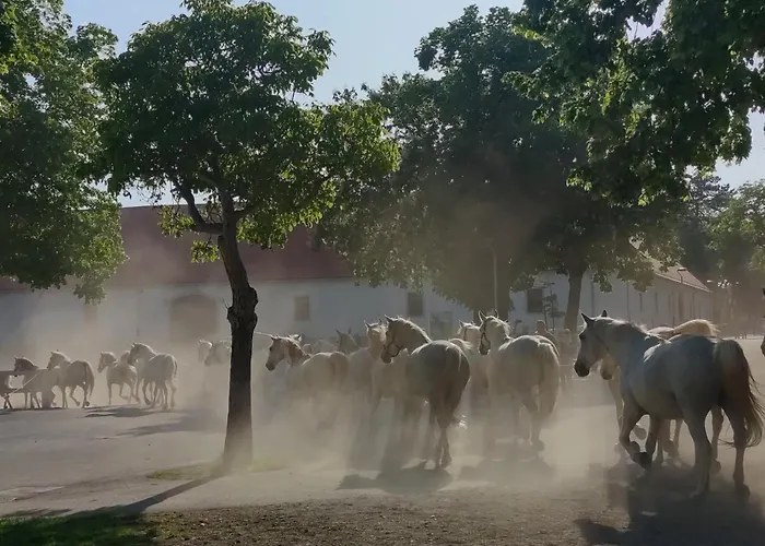 Σπίτι διακοπών Apartma Jezevi *