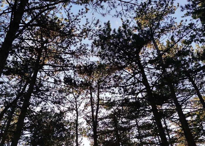 Apartma Jezevi * Sežana