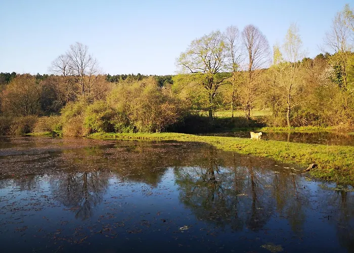 Apartma Jezevi Σπίτι διακοπών Sežana