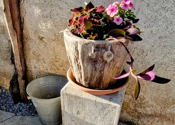 Apartma Jezevi Σπίτι διακοπών Sežana